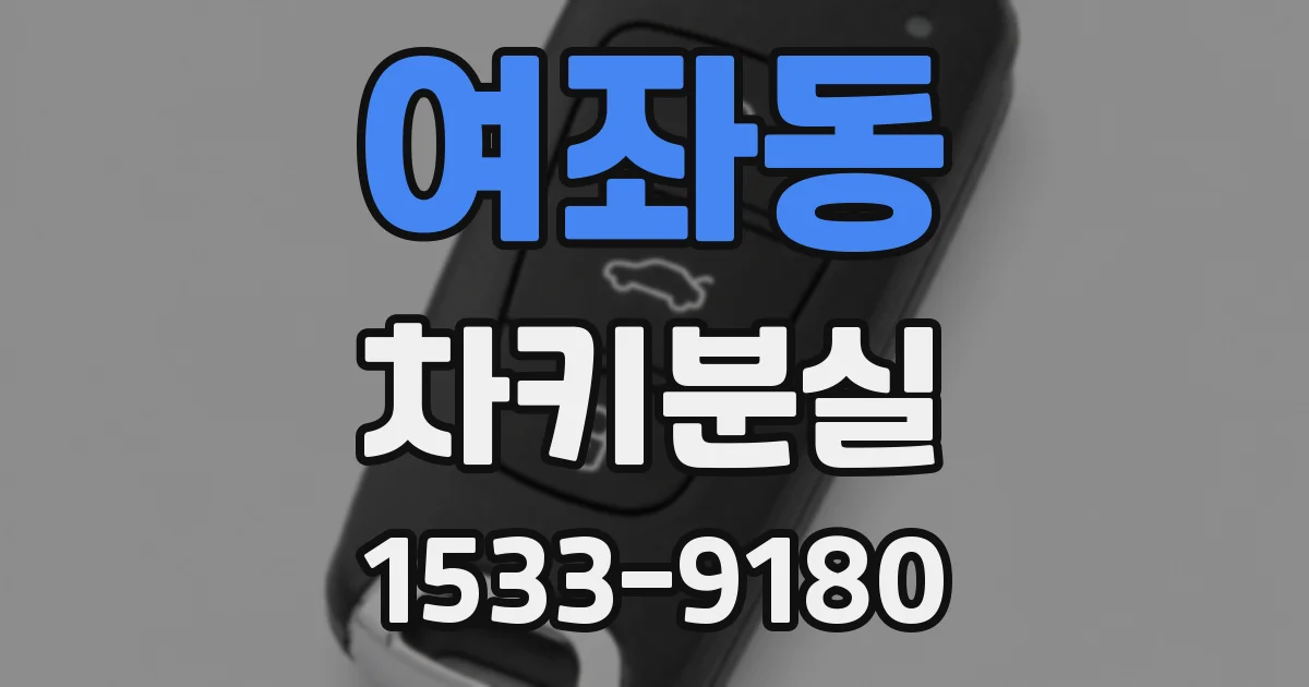 여좌동 차키분실