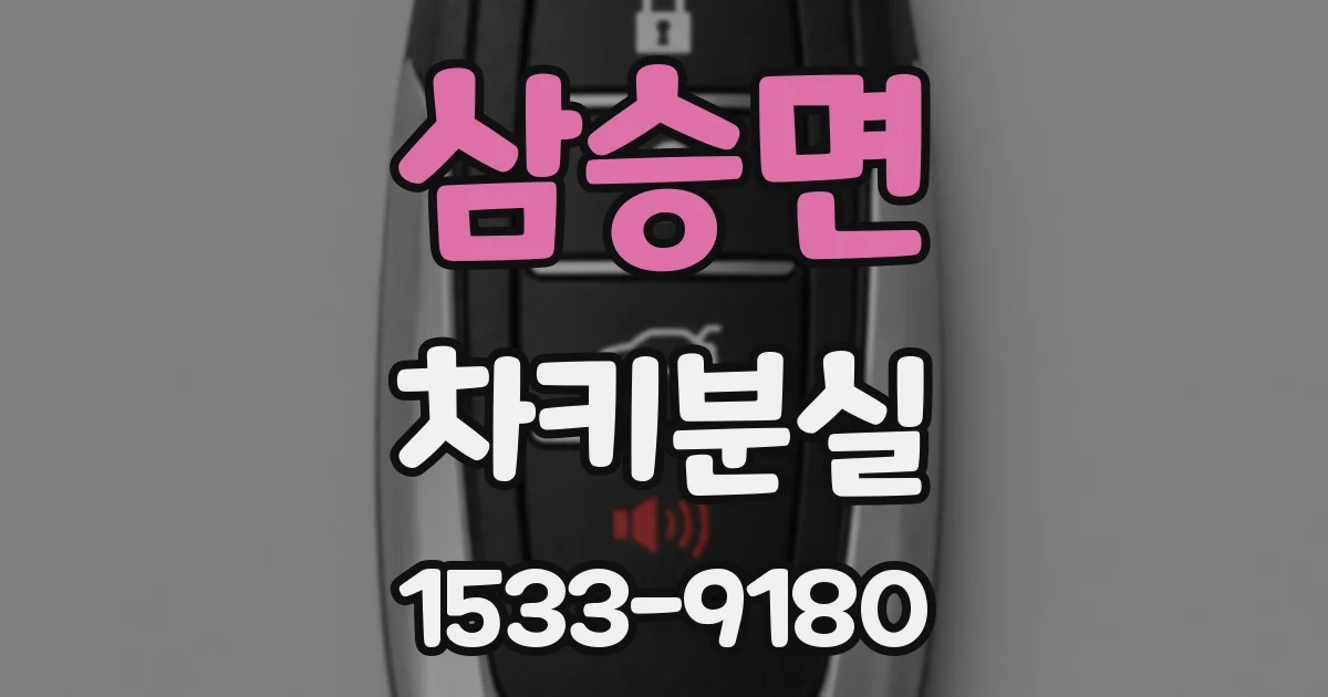 삼승면 차키분실