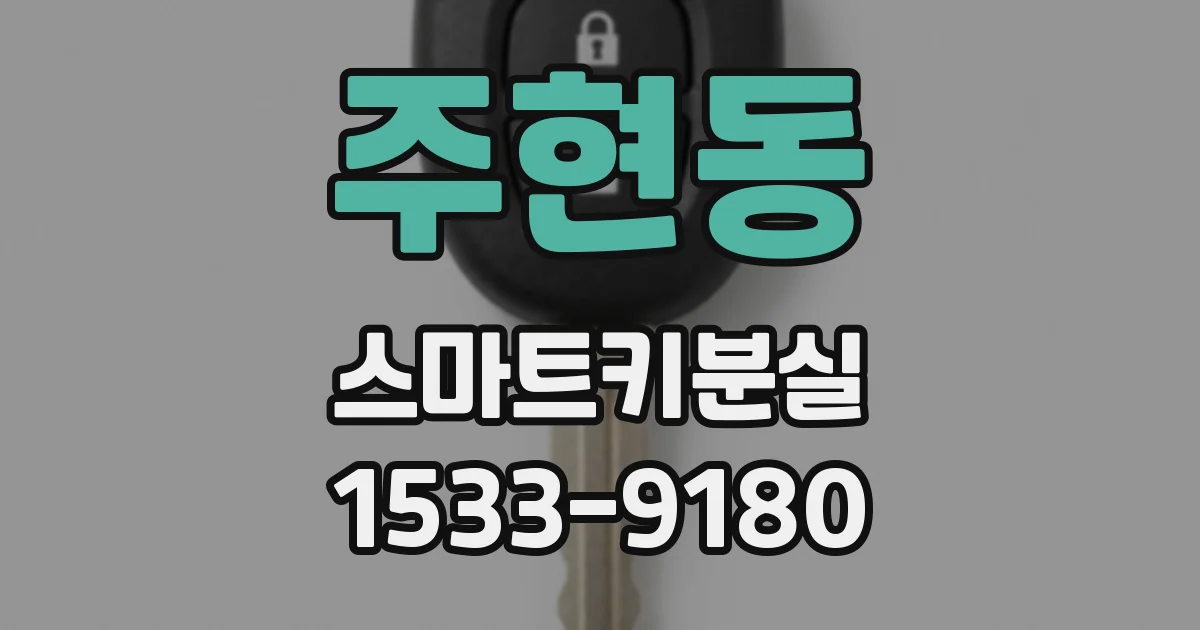 주현동 스마트키분실