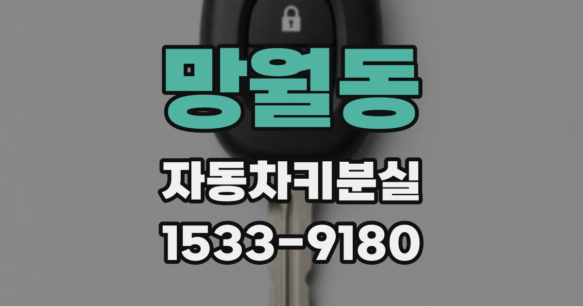 망월동 자동차키분실