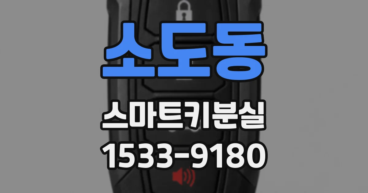 소도동 스마트키분실