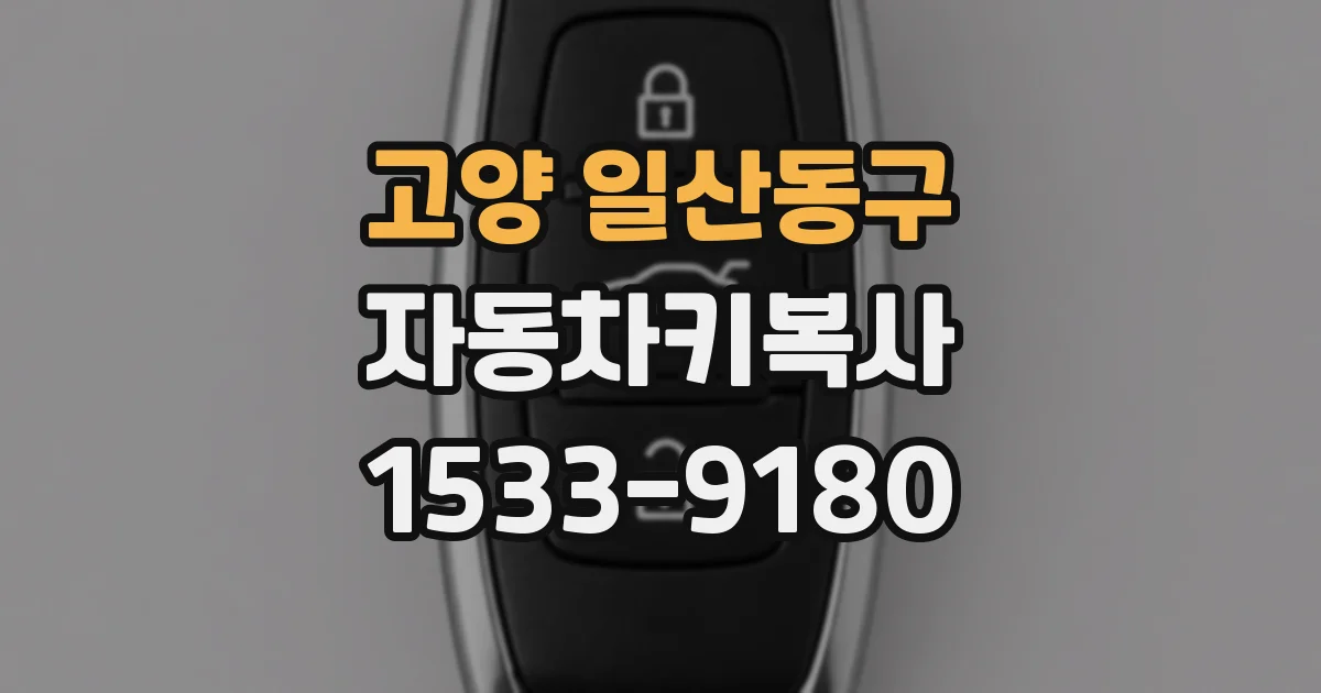 고양 일산동구 자동차키복사