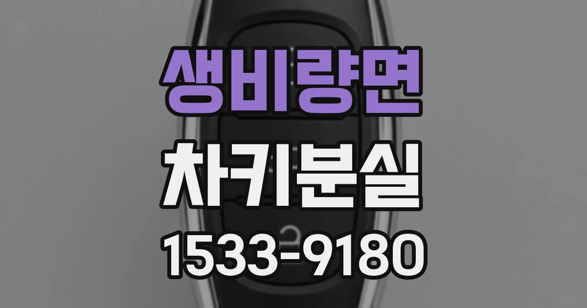 생비량면 차키분실