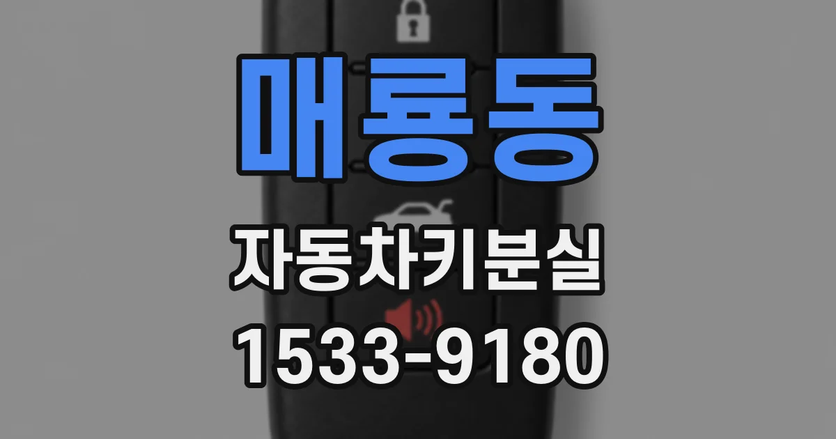 매룡동 자동차키분실