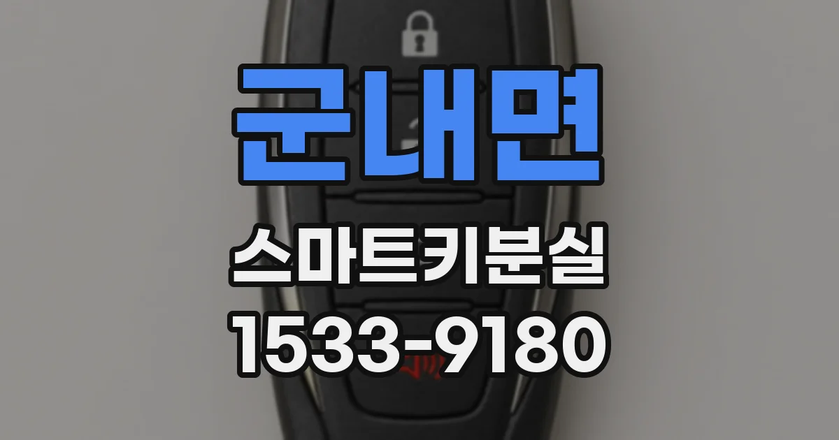 군내면 스마트키분실