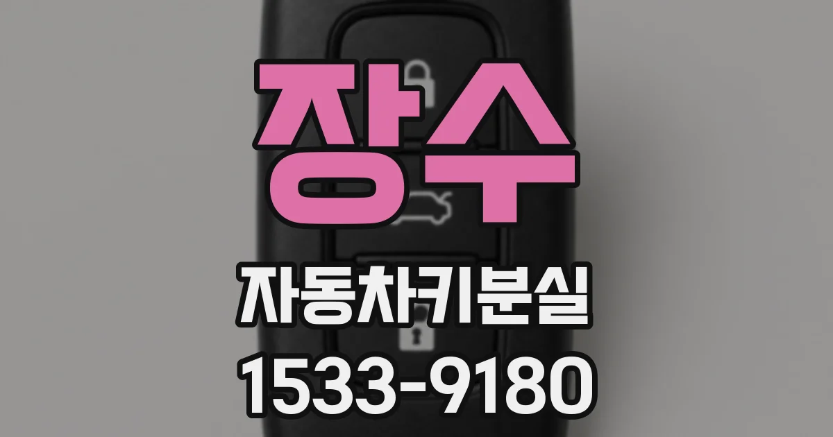 장수 자동차키분실