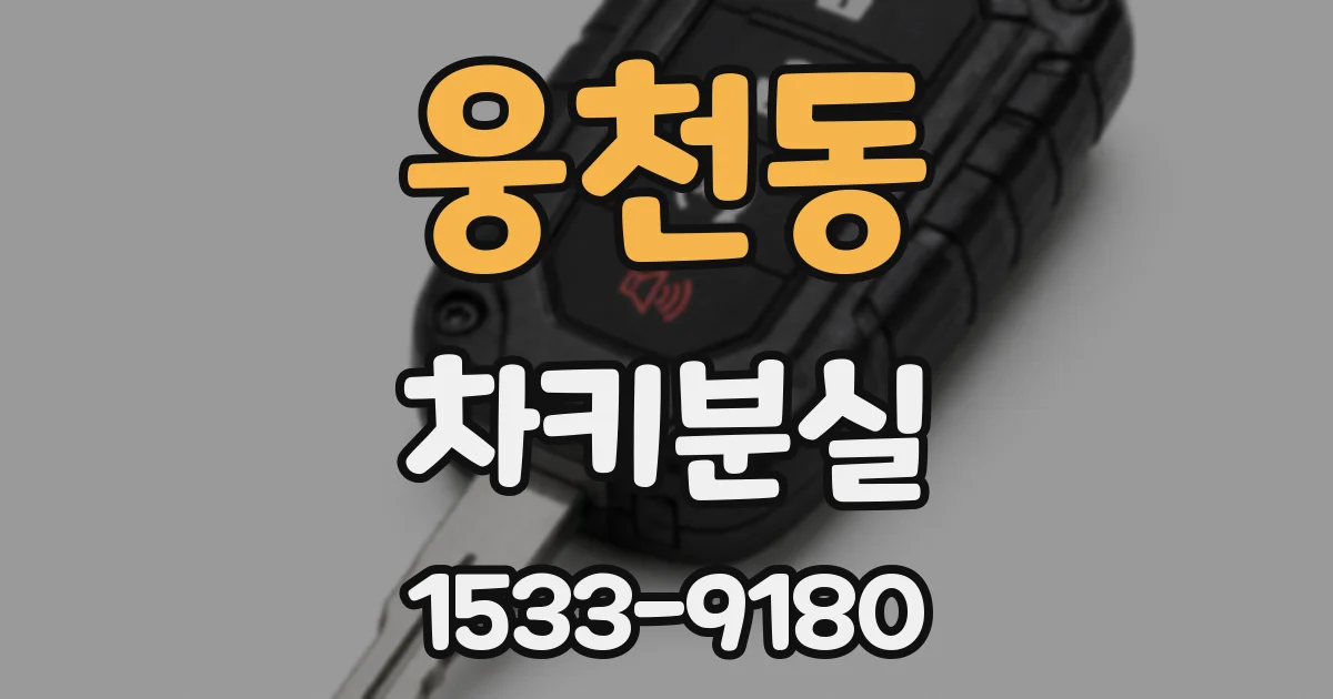 웅천동 차키분실