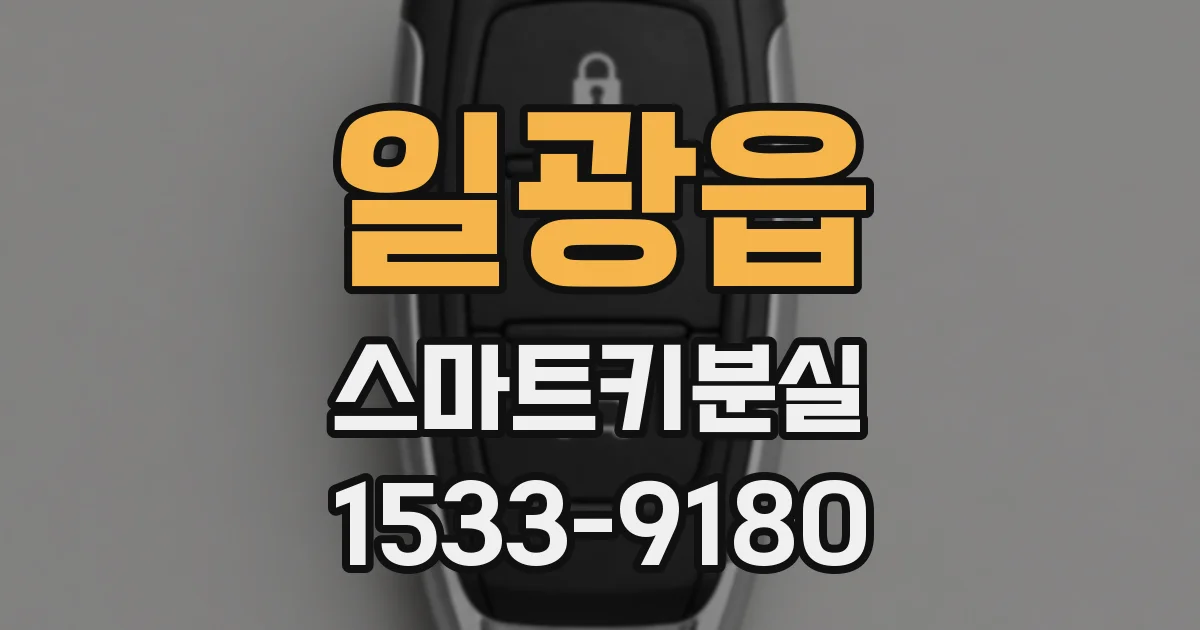 일광읍 스마트키분실