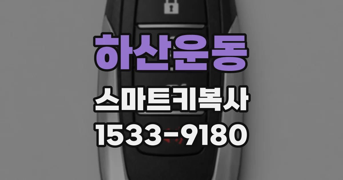 하산운동 스마트키복사