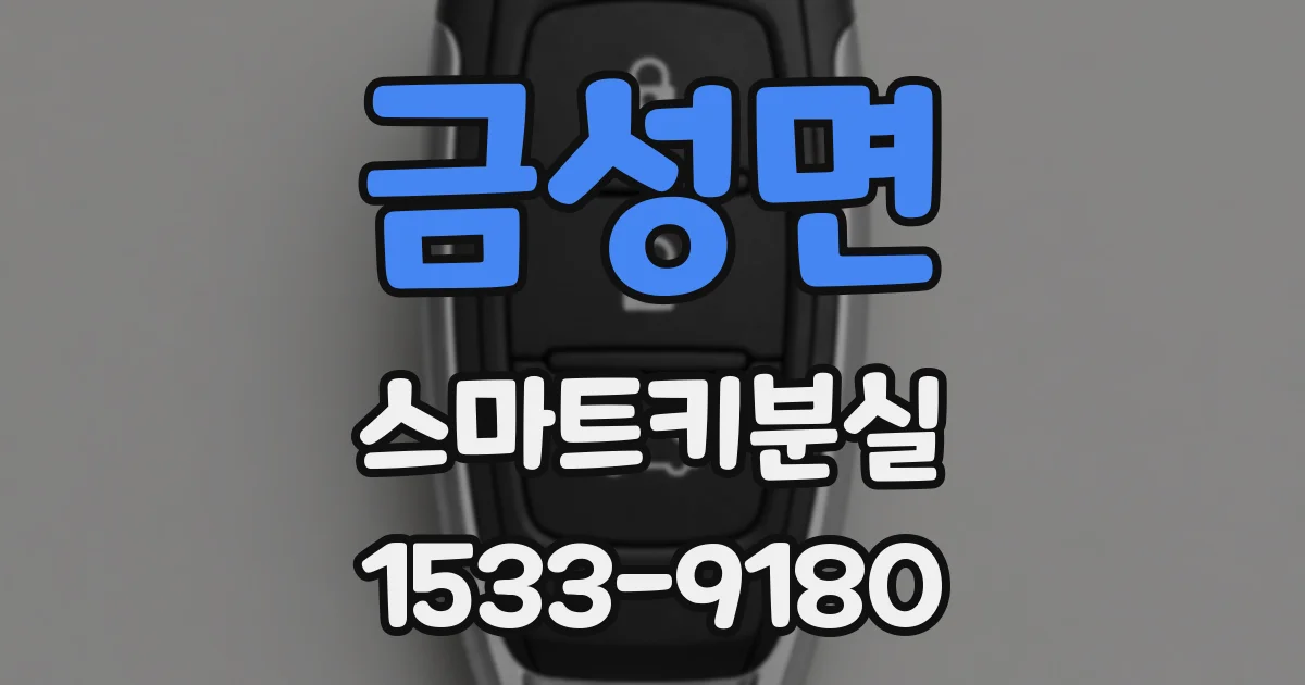 금성면 스마트키분실