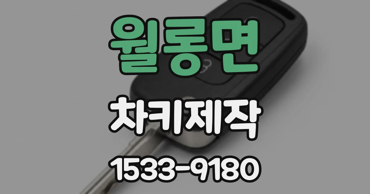 월롱면 차키제작
