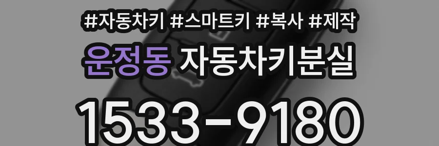 운정동 자동차키분실