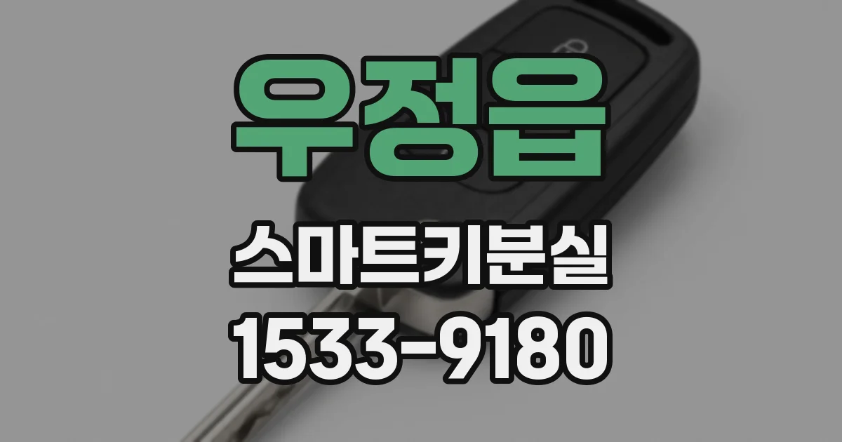 우정읍 스마트키분실