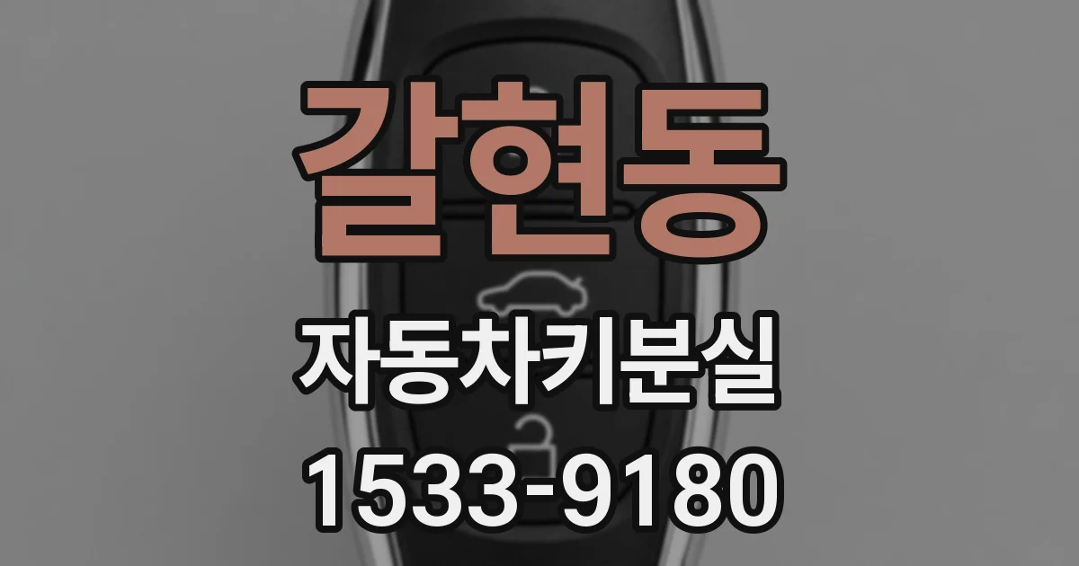 갈현동 자동차키분실
