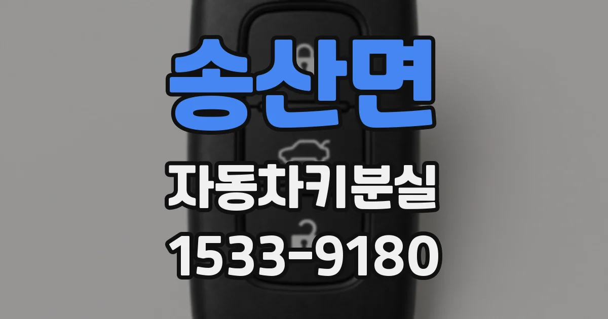 송산면 자동차키분실