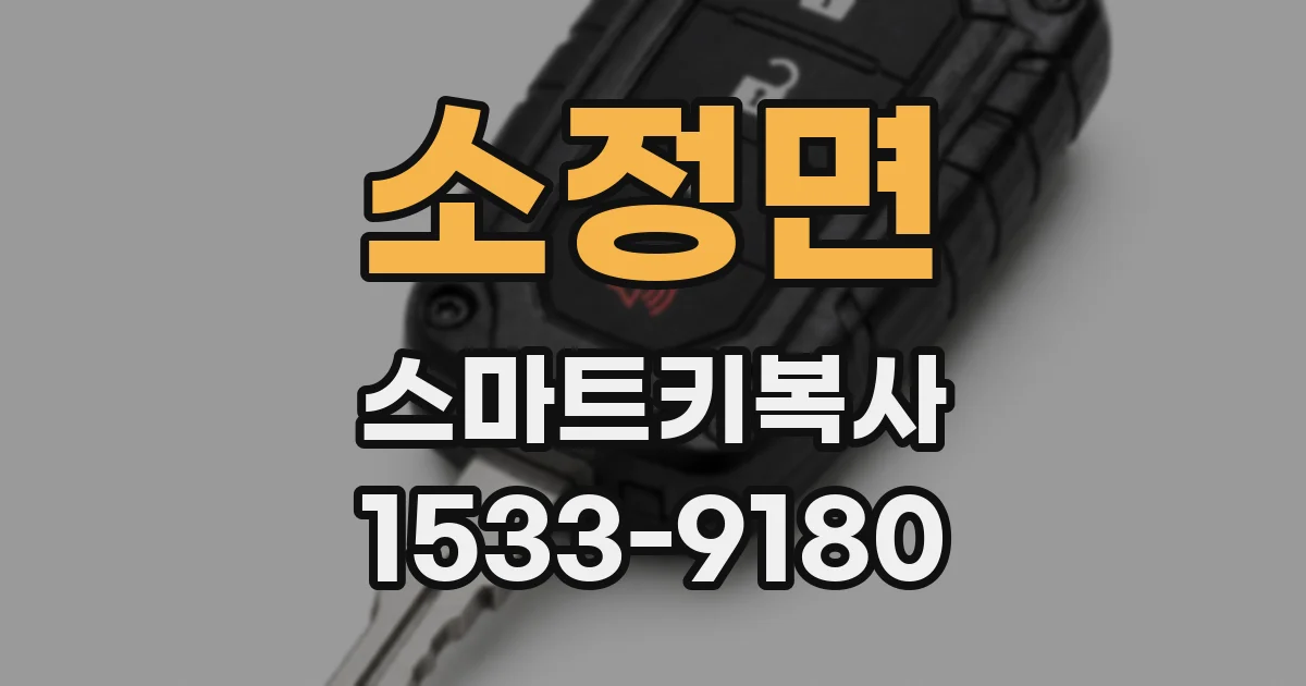 소정면 스마트키복사