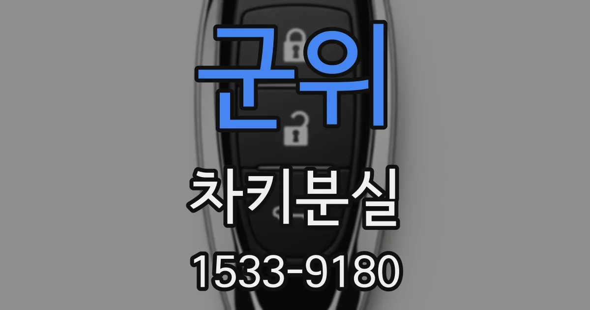 군위 차키분실