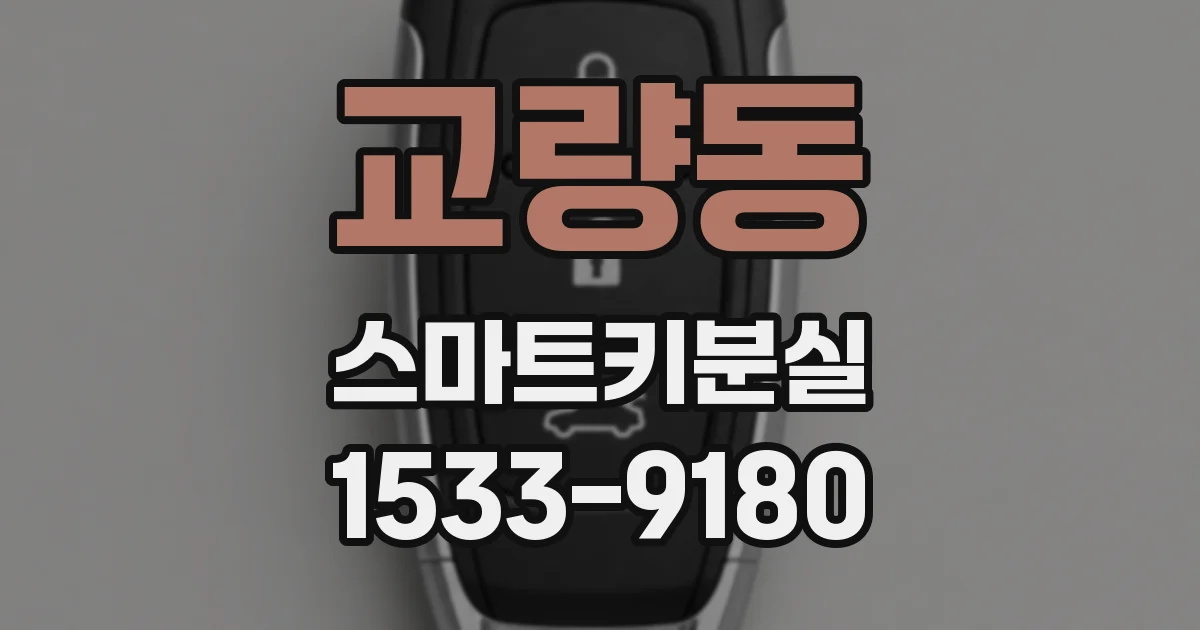 교량동 스마트키분실