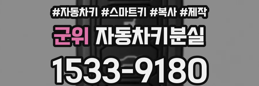 군위 자동차키분실