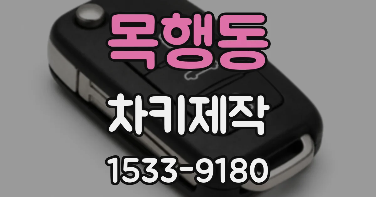 목행동 차키제작