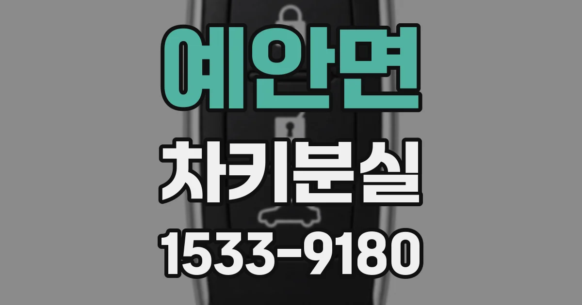 예안면 차키분실