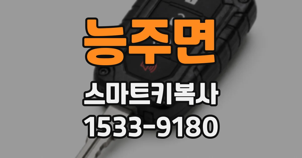 능주면 스마트키복사
