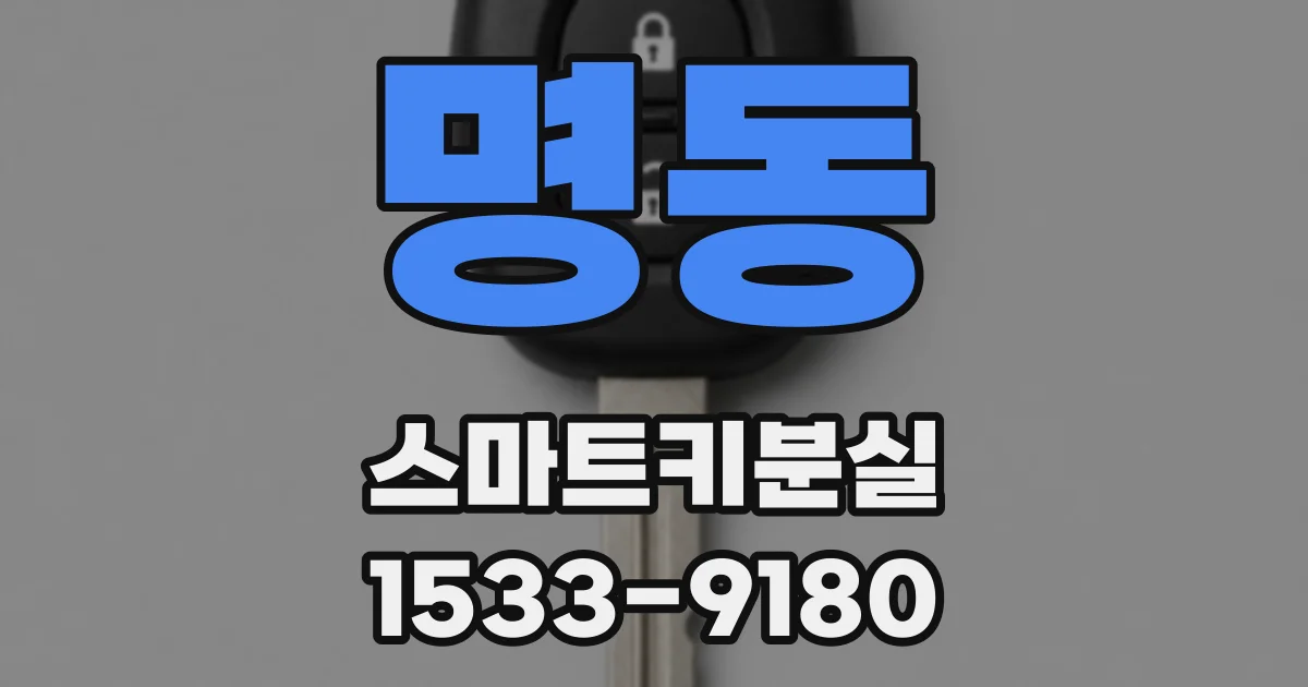 명동 스마트키분실