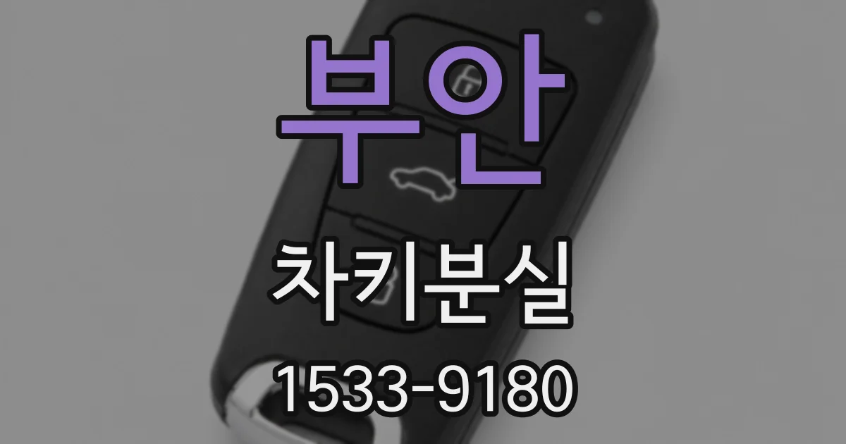 부안 차키분실