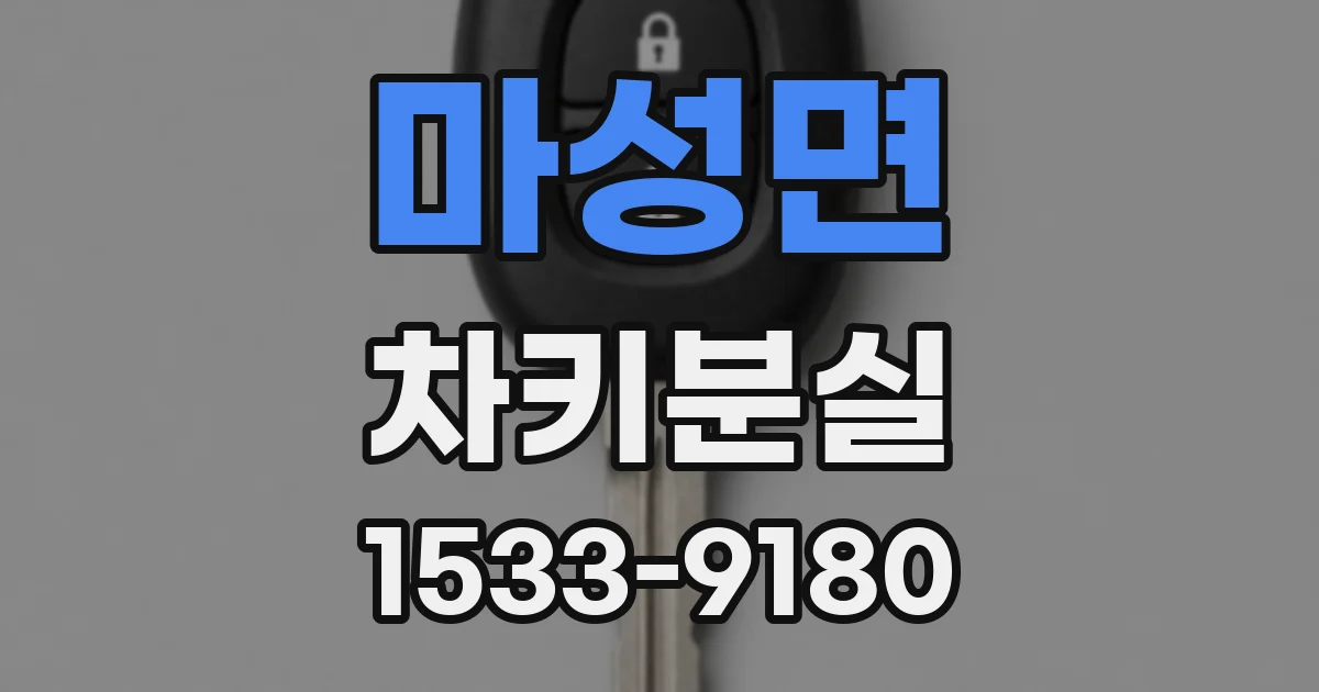 마성면 차키분실