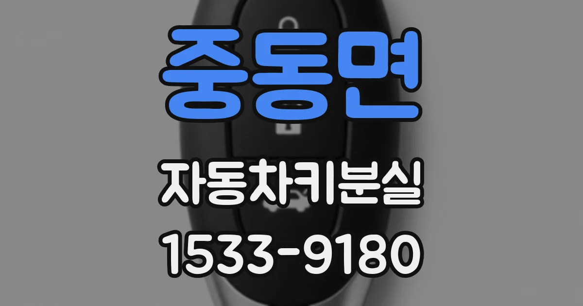 중동면 자동차키분실