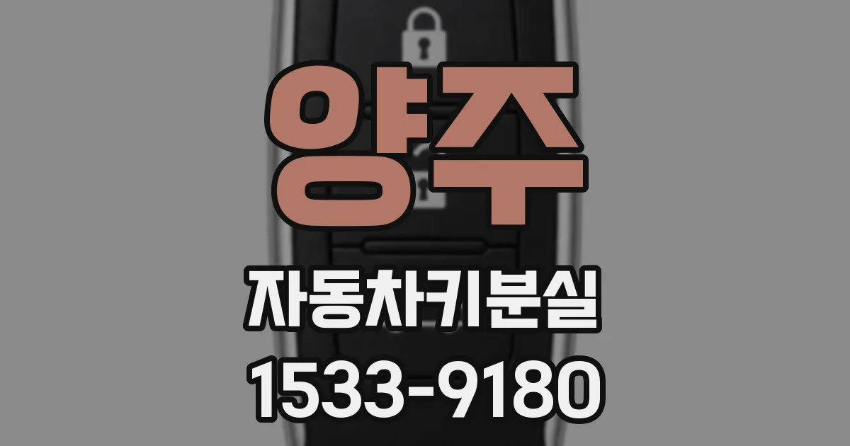 양주 자동차키분실
