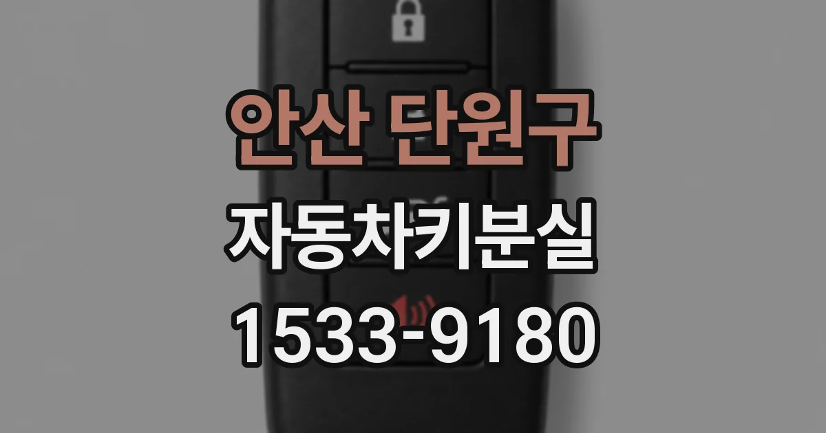 안산 단원구 자동차키분실