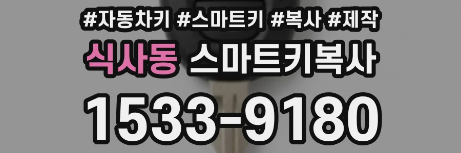 식사동 스마트키복사