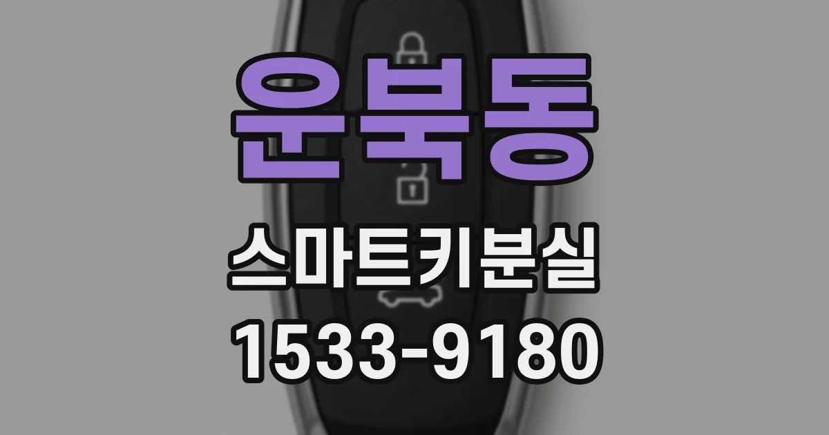 운북동 스마트키분실