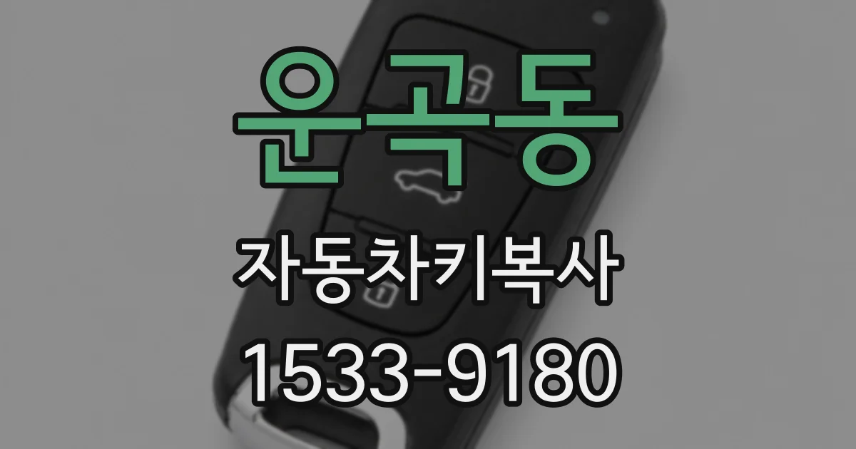운곡동 자동차키복사