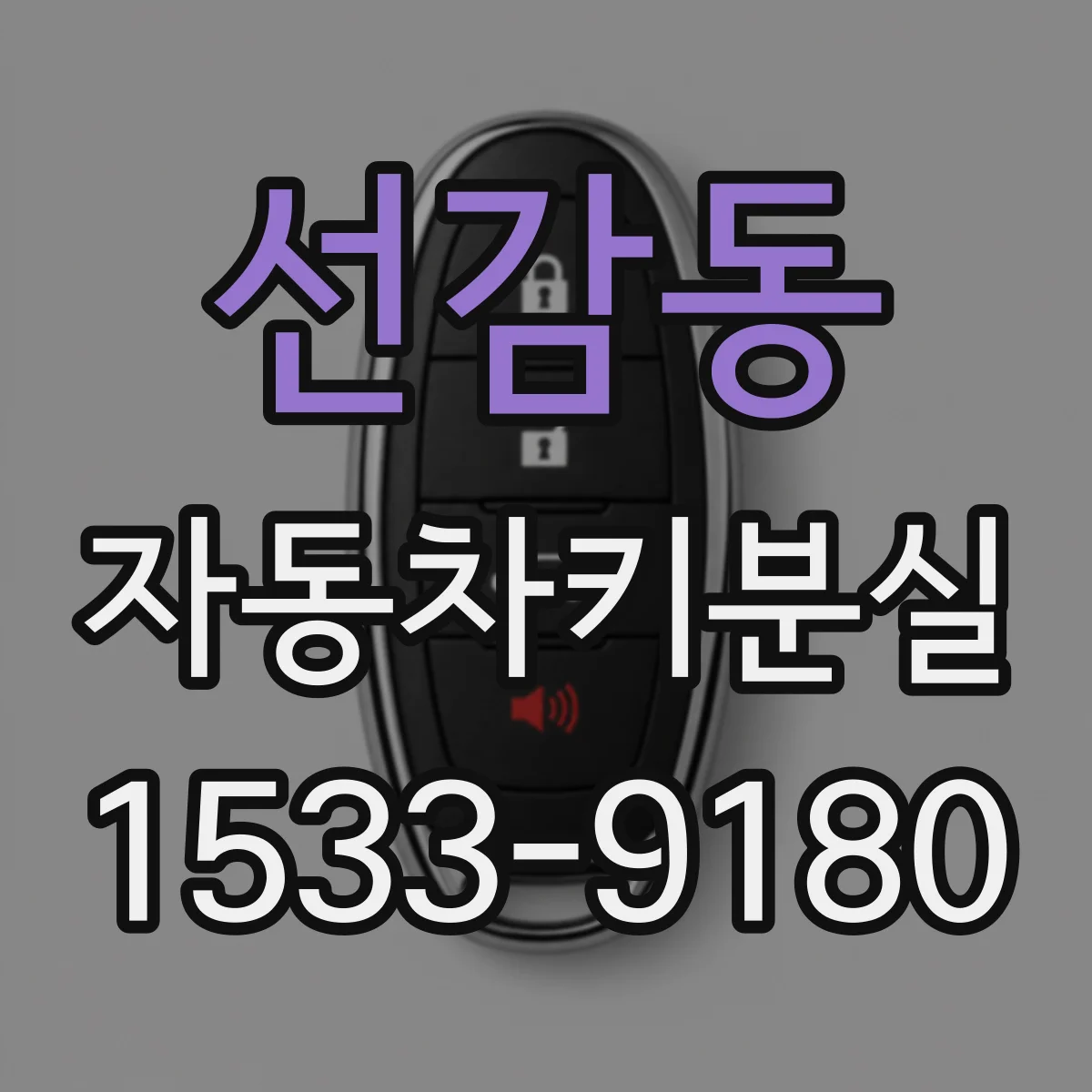 선감동 자동차키분실