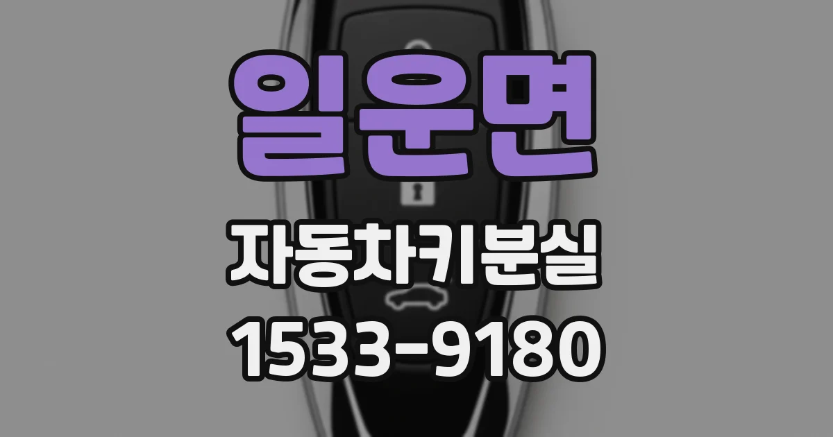 일운면 자동차키분실