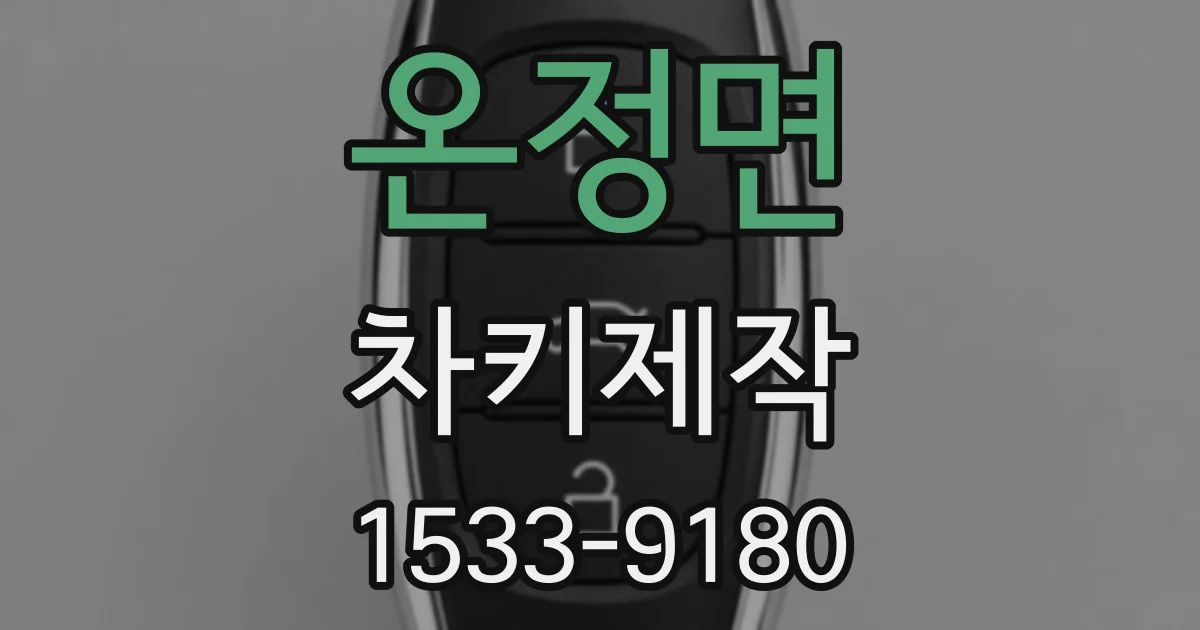 온정면 차키제작