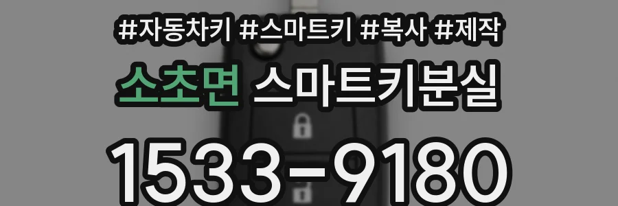 소초면 스마트키분실