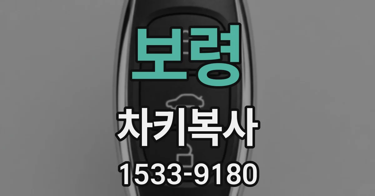 보령 차키복사