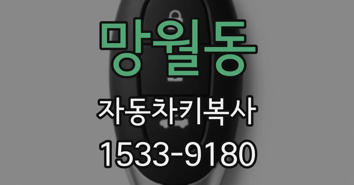 망월동 자동차키복사