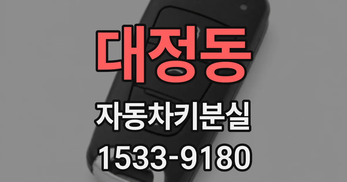 대정동 자동차키분실