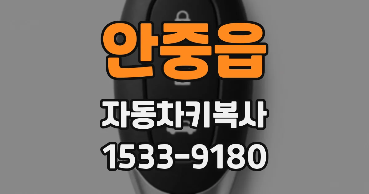 안중읍 자동차키복사