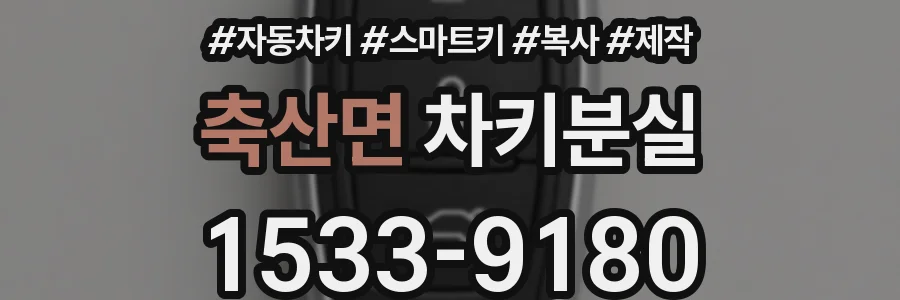축산면 차키분실
