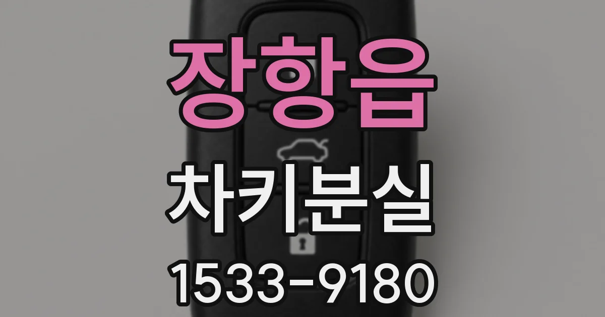 장항읍 차키분실