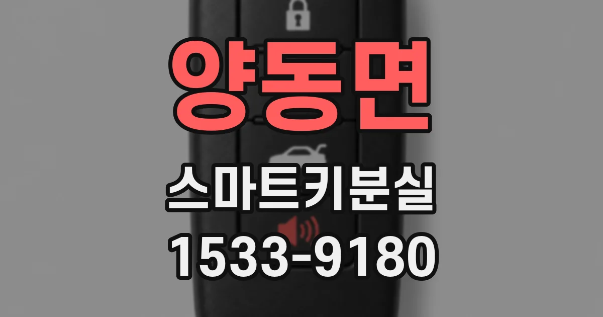 양동면 스마트키분실