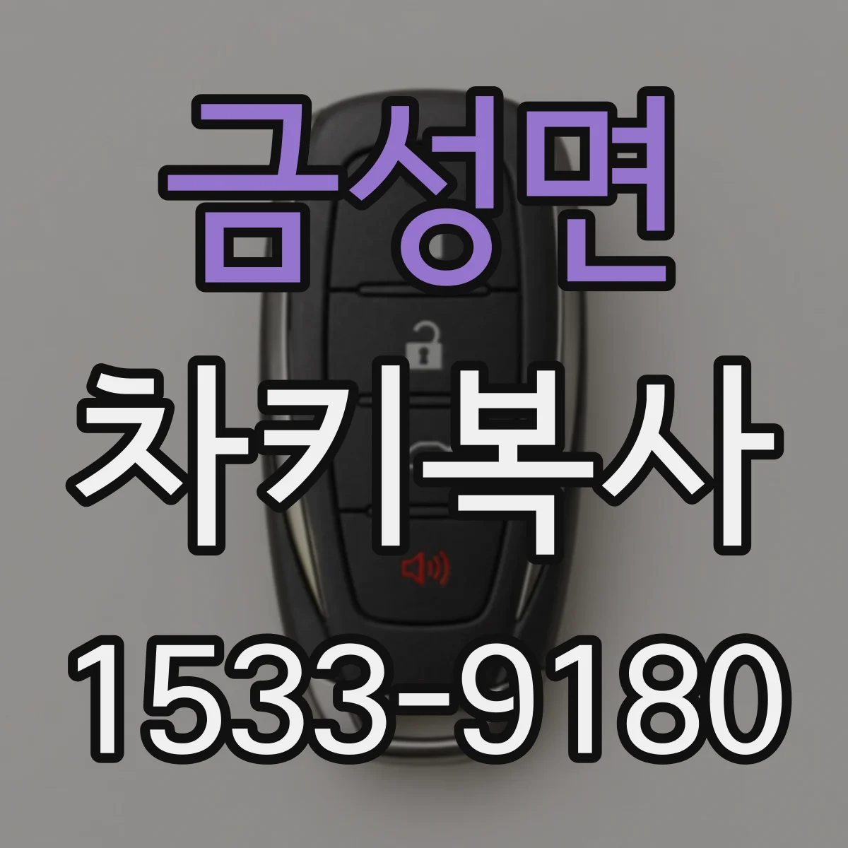 금성면 차키복사
