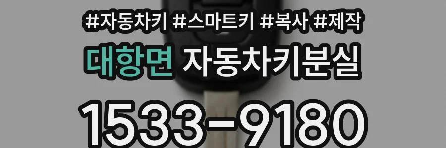 대항면 자동차키분실
