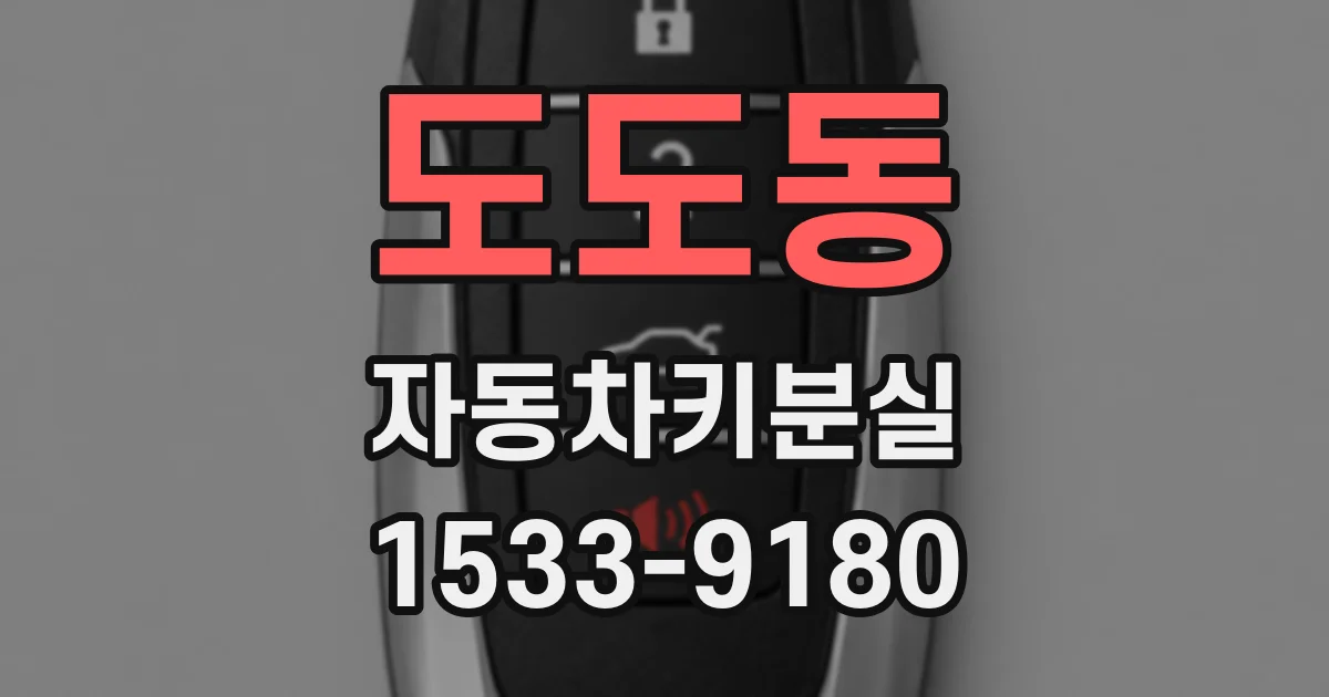 도도동 자동차키분실