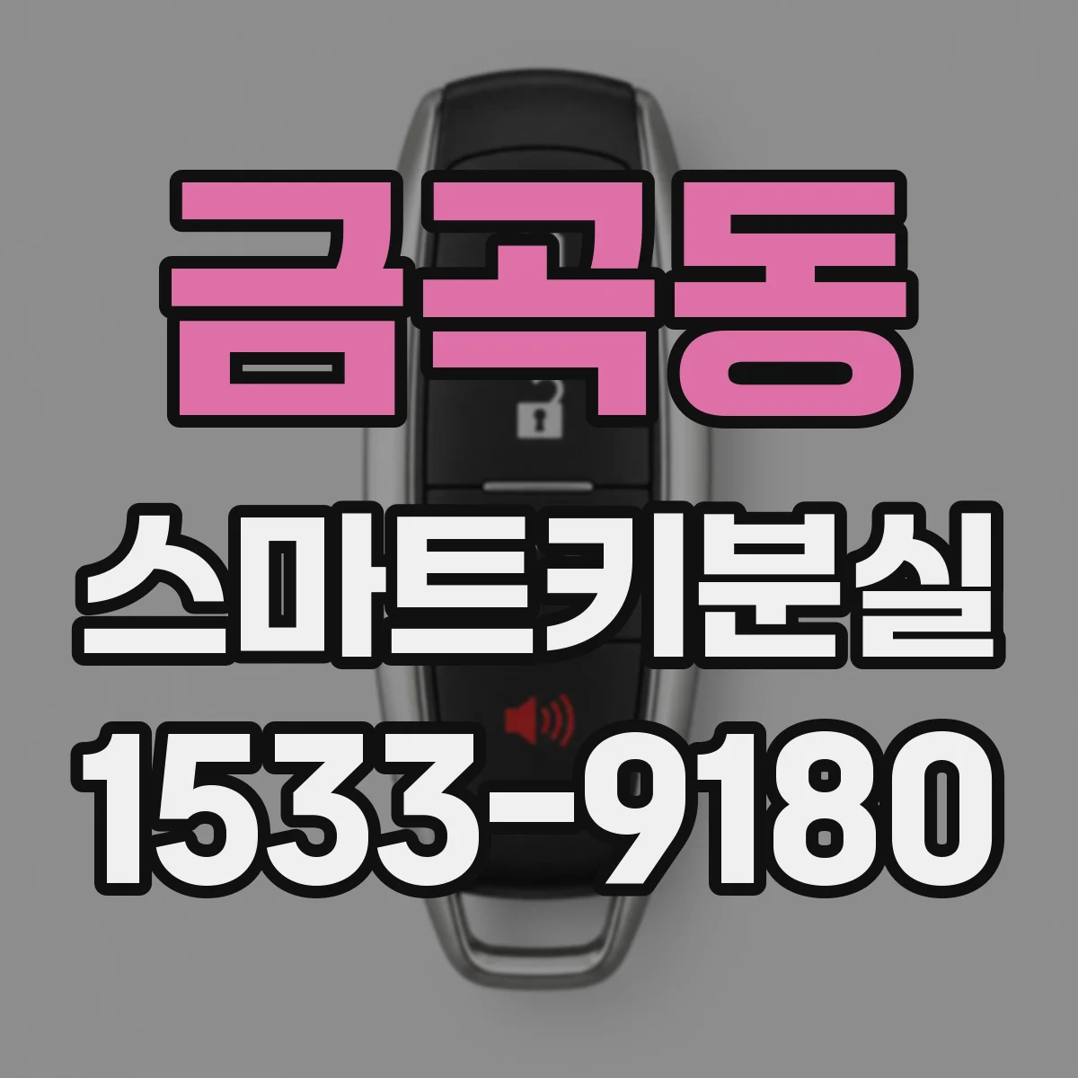 금곡동 스마트키분실